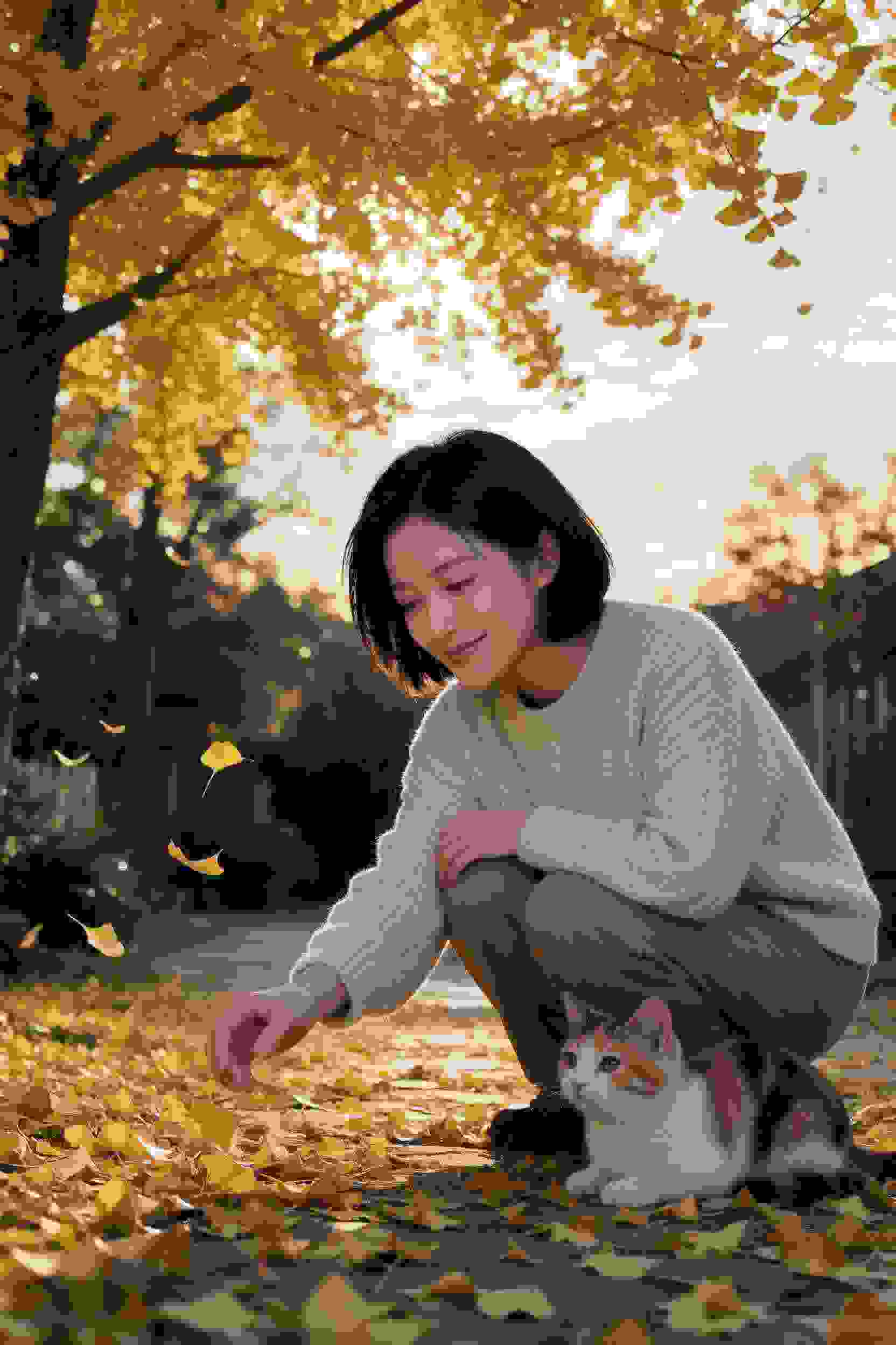 恋爱随意链接
